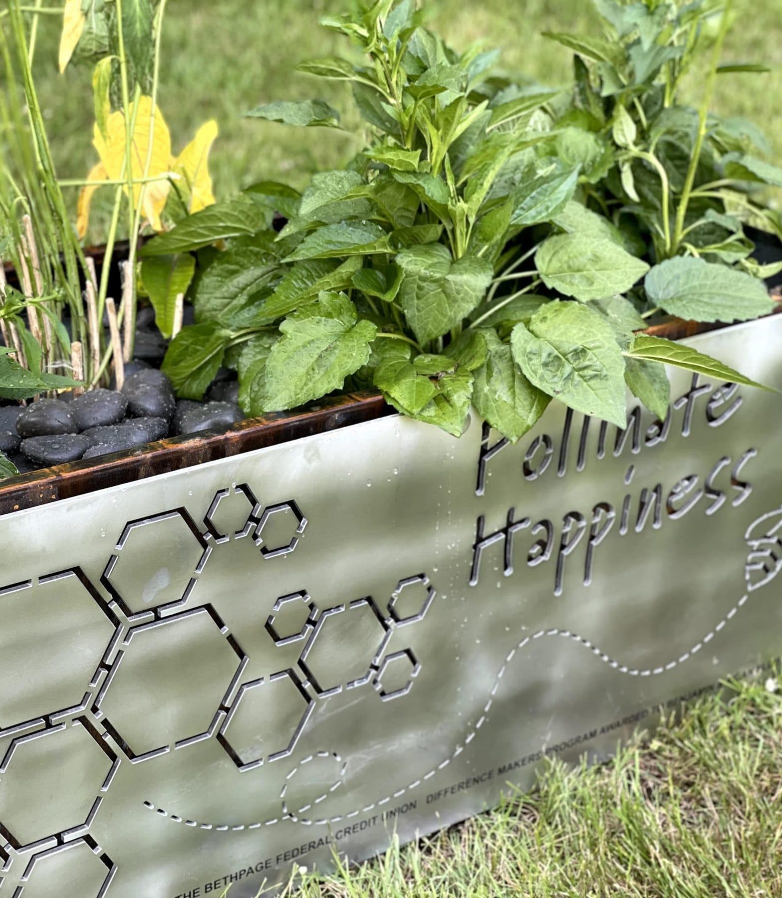 A steel Pollinate Happiness planter bench overflowing with native perennials