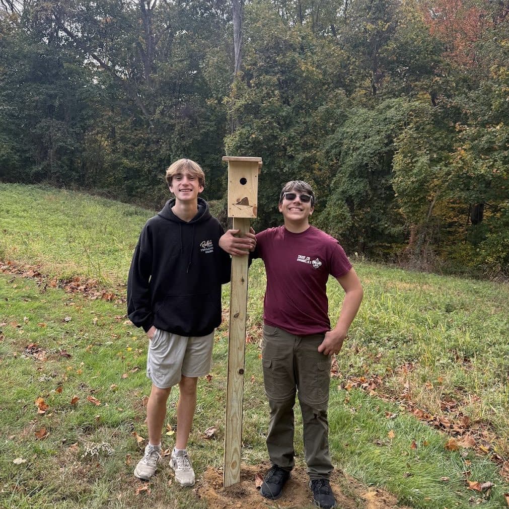 Two scouts beside a newly installed songbird nest box