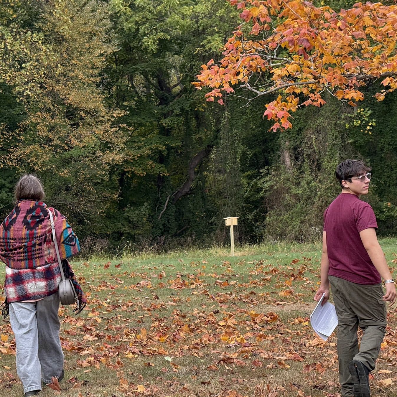 Walking through a Long Island preserve in fall